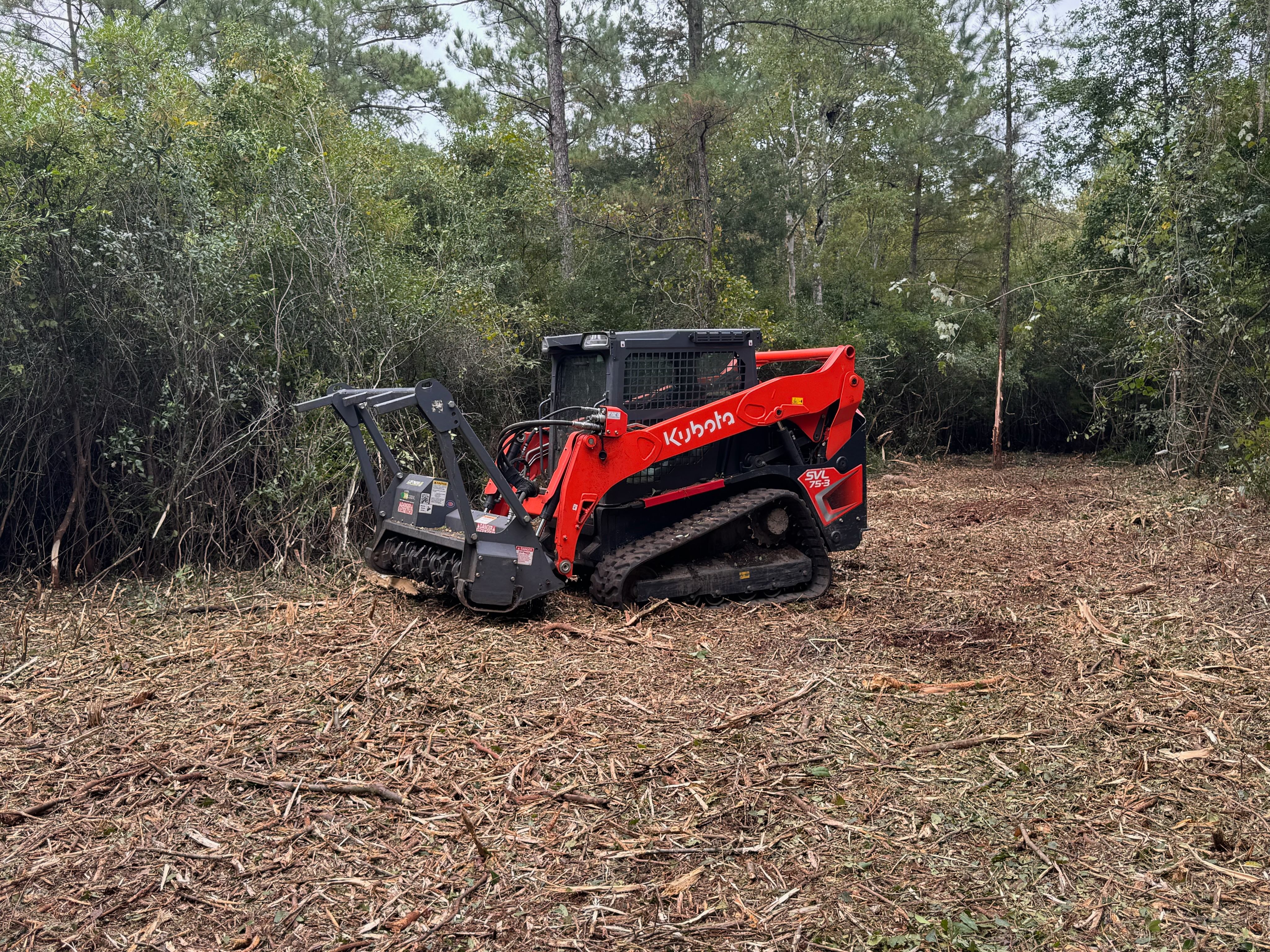 Forest mulching service in North Carolina by Carolina Land Works & Hauling